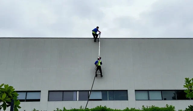 家政服务配套性能与适用条件解析