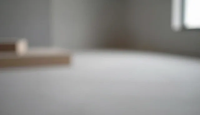 日常保洁产品应用误区与正确使用建议